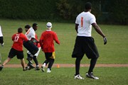 OTFL Gallery Image